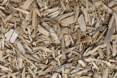 biomass boilers Shap